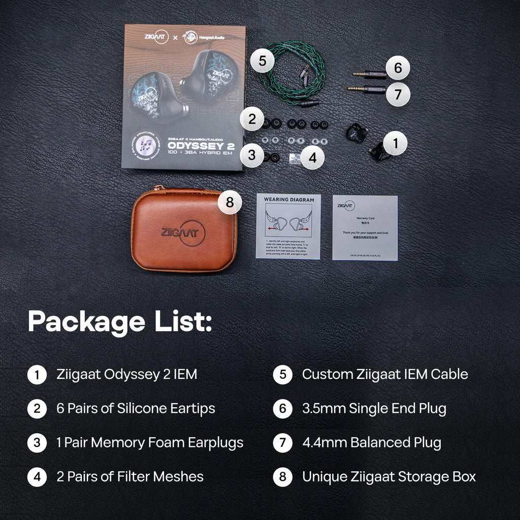ZiiGaat x Hangout.Audio Odyssey 2 1DD+3BA Hybrid IEM