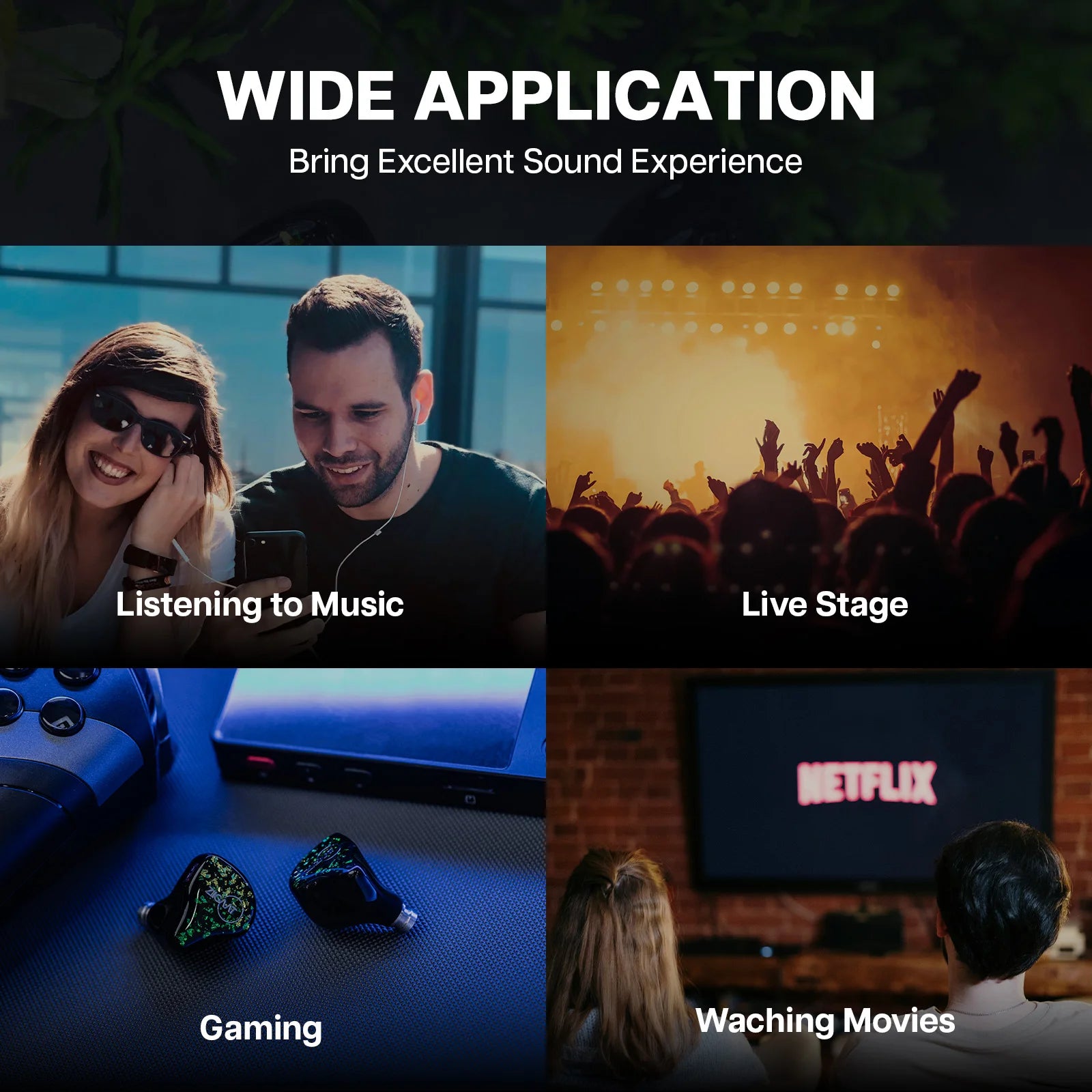 ZiiGaat x HBB Arcadia 1DD+2BA Hybrid IEM