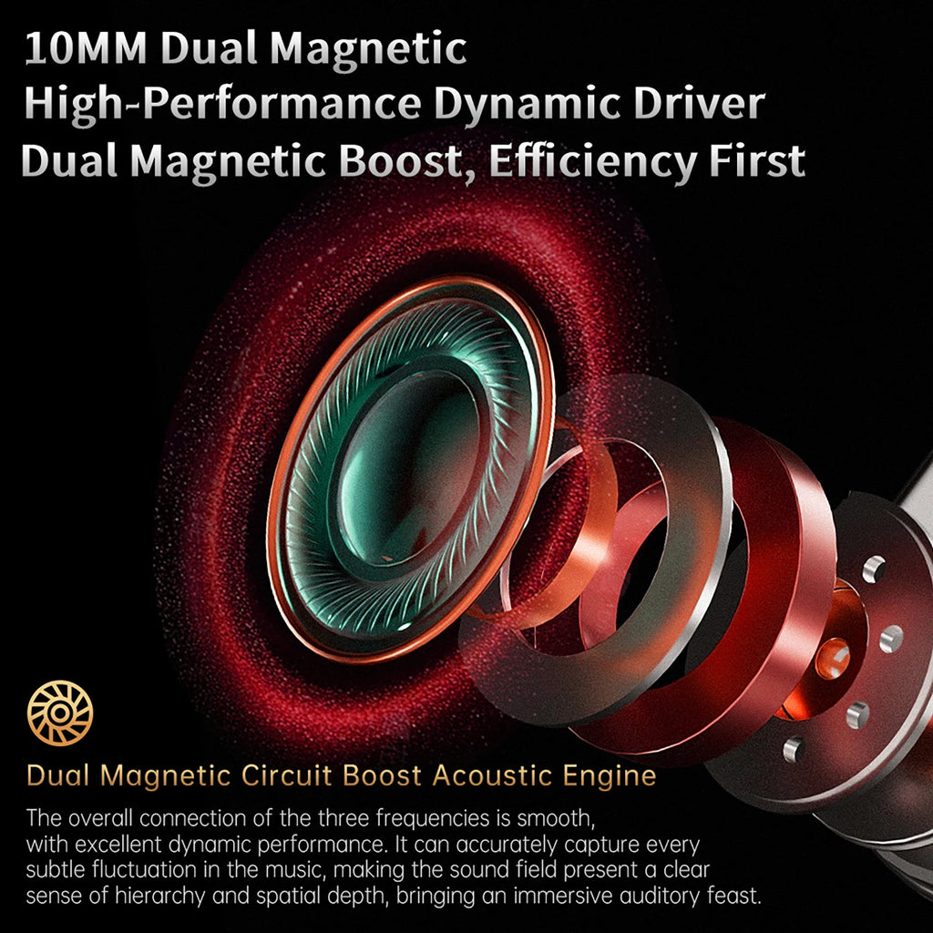 CCA Phoenix Dynamic IEM