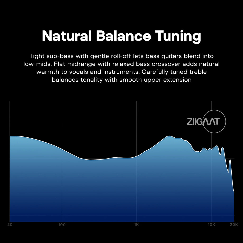 ZiiGaat Horizon 1DD+2BA+2 Planar Tribrid IEM