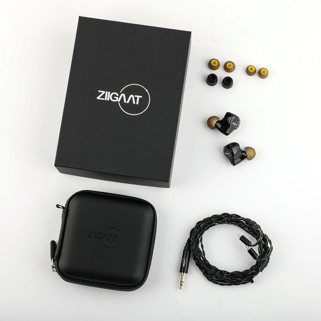 ZiiGaat x Jays Audio Estrella 2DD+4BA Hybrid IEM